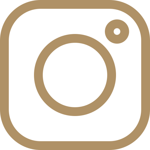 instagram Icon